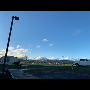 Meet your Posher, Lily